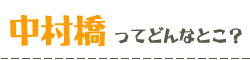 中村橋の魅力