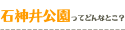 石神井公園の魅力